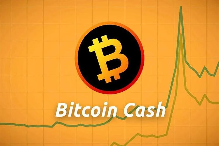 بیتکوین کش (Bitcoin Cash) چیست؟ چگونه آن را استخراج میکنید؟ اهمیت و نقش استخراج بیتکوین کش