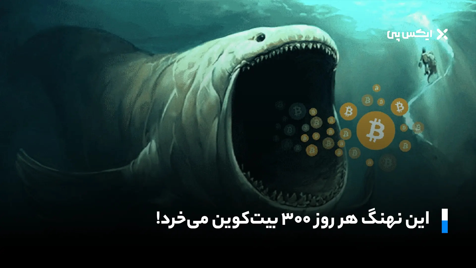 این نهنگ هر روز ۳۰۰ بیت کوین می‌خرد!
